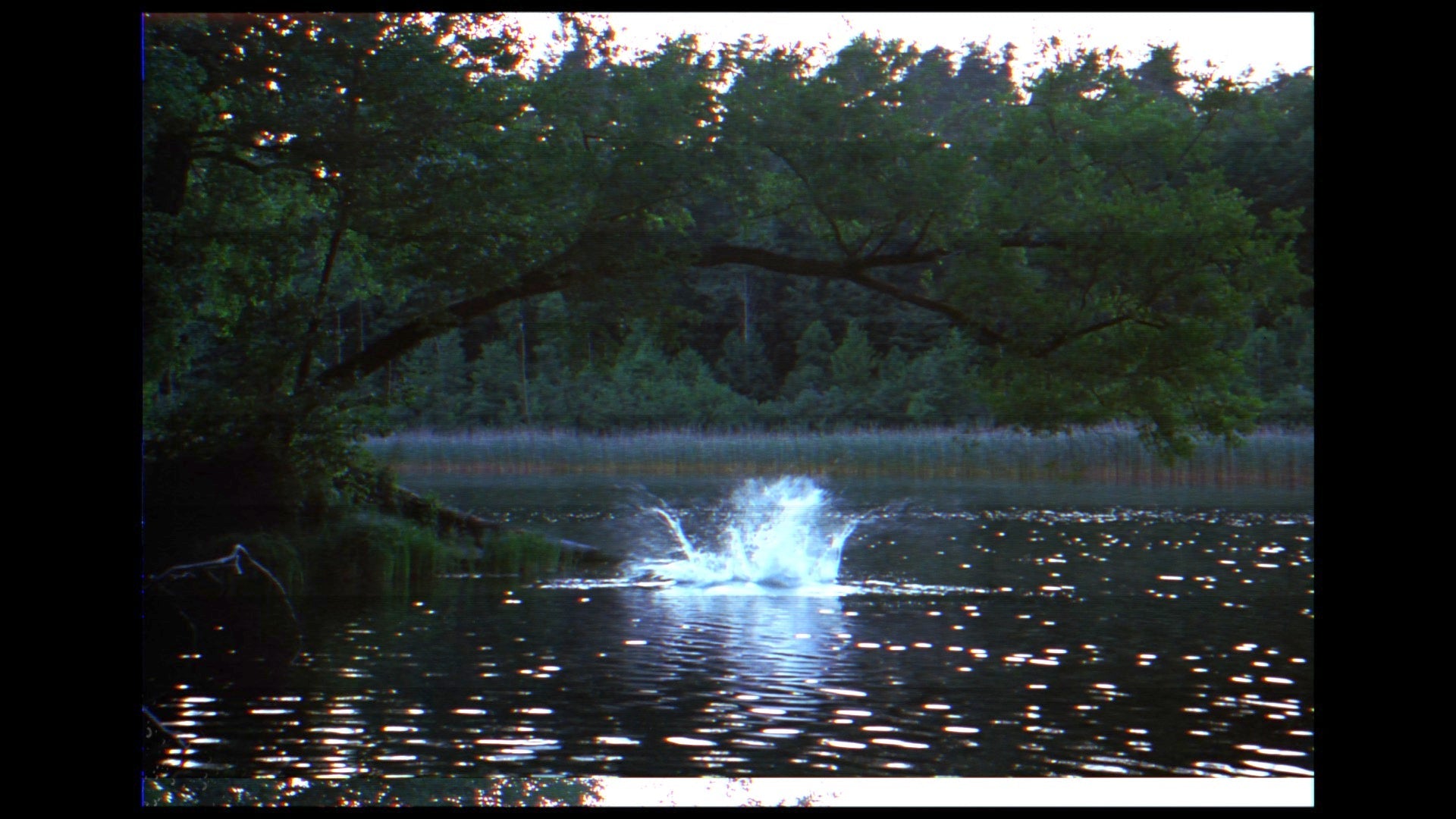 Analogue Fx (Final Cut Pro)