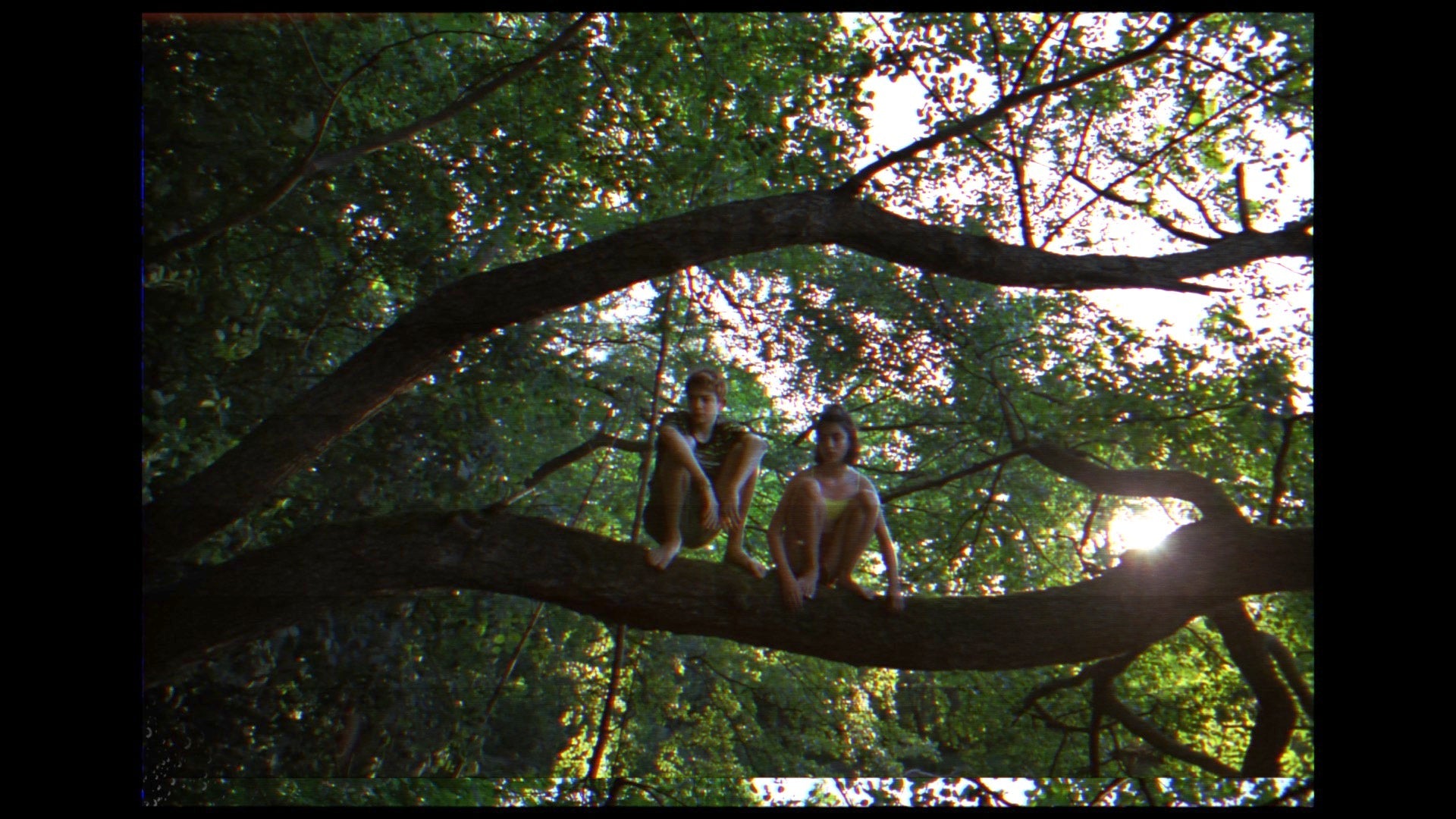 Analogue Fx (Final Cut Pro)