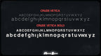 FONTS [V-1] - moonbear.shop