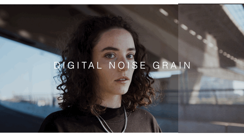 NOISE - 4K VHS Grain - moonbear.shop