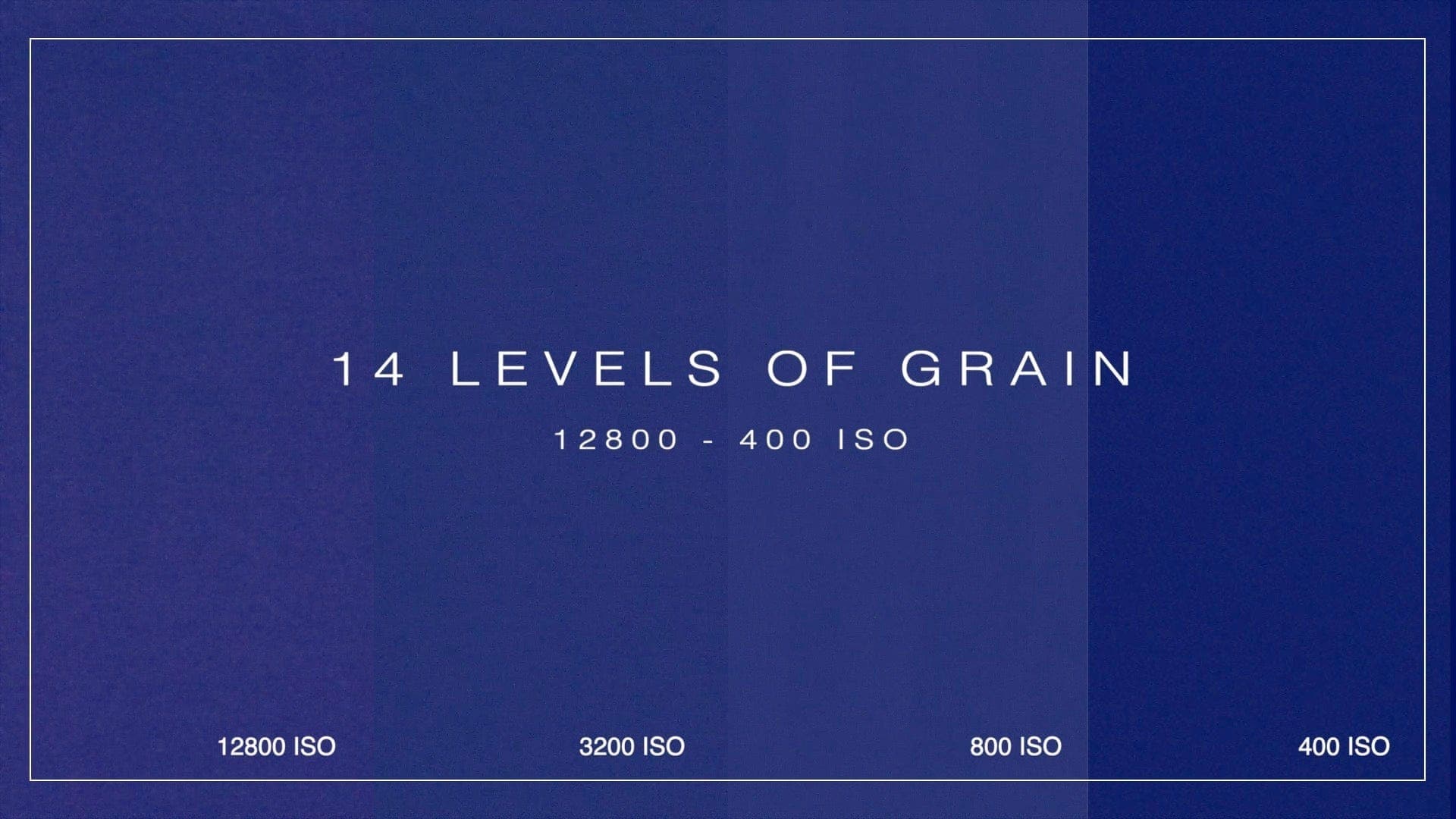 NOISE - 4K VHS Grain - moonbear.shop