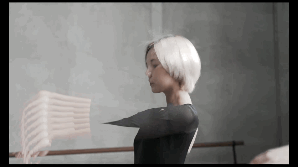 DECAY - Visual Echo Effect - moonbear.shop