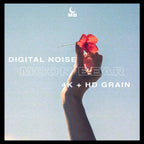 NOISE - 4K VHS Grain - moonbear.shop