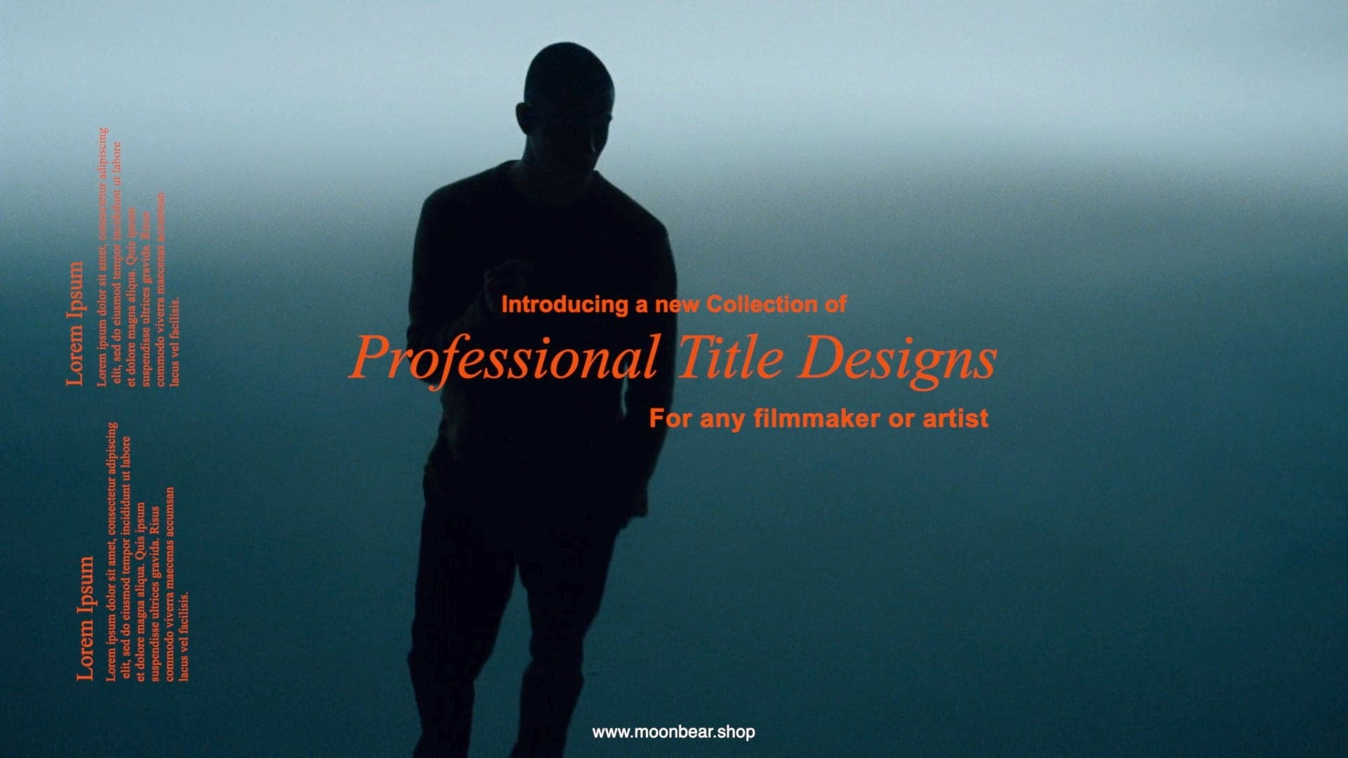 BEST SELLERS BUNDLE - moonbear.shop