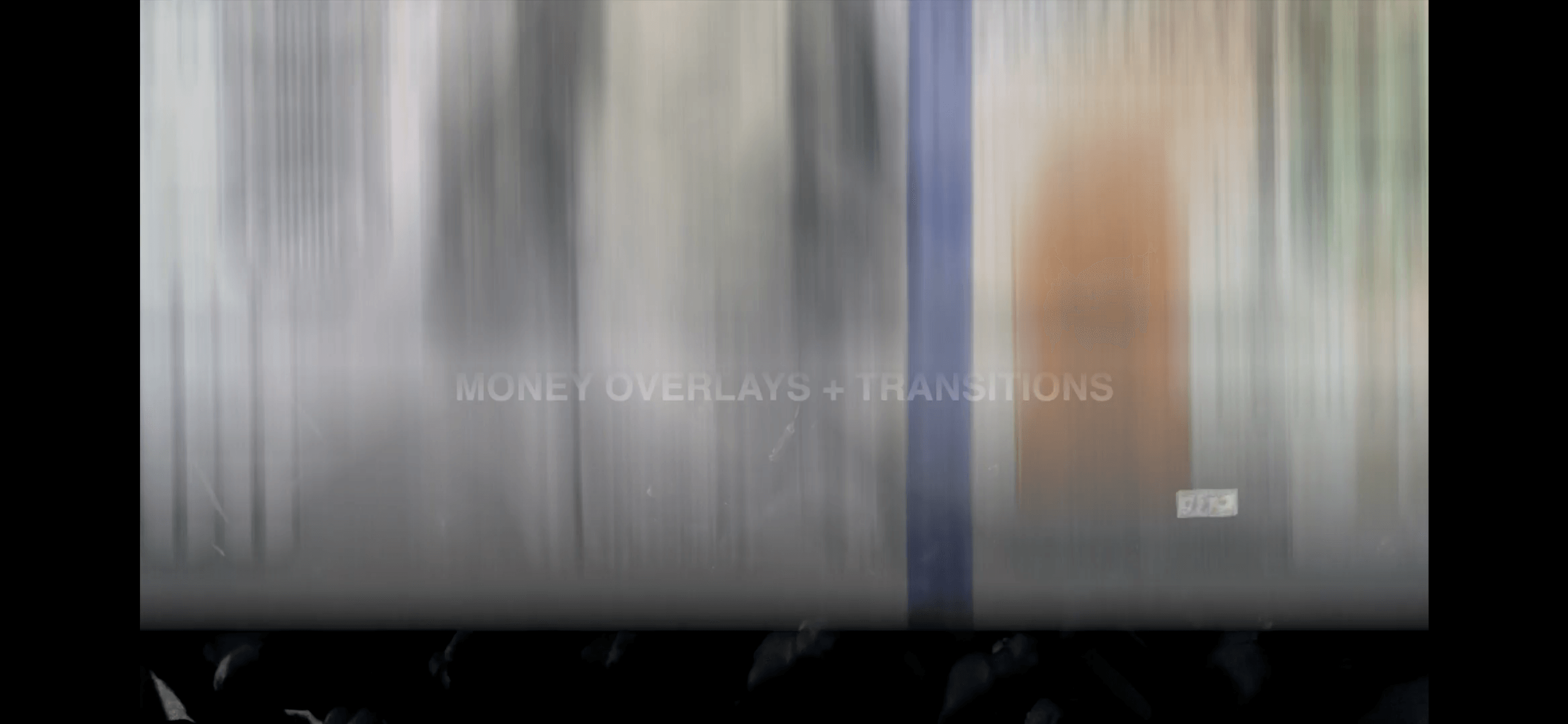 MONEY - moonbear.shop