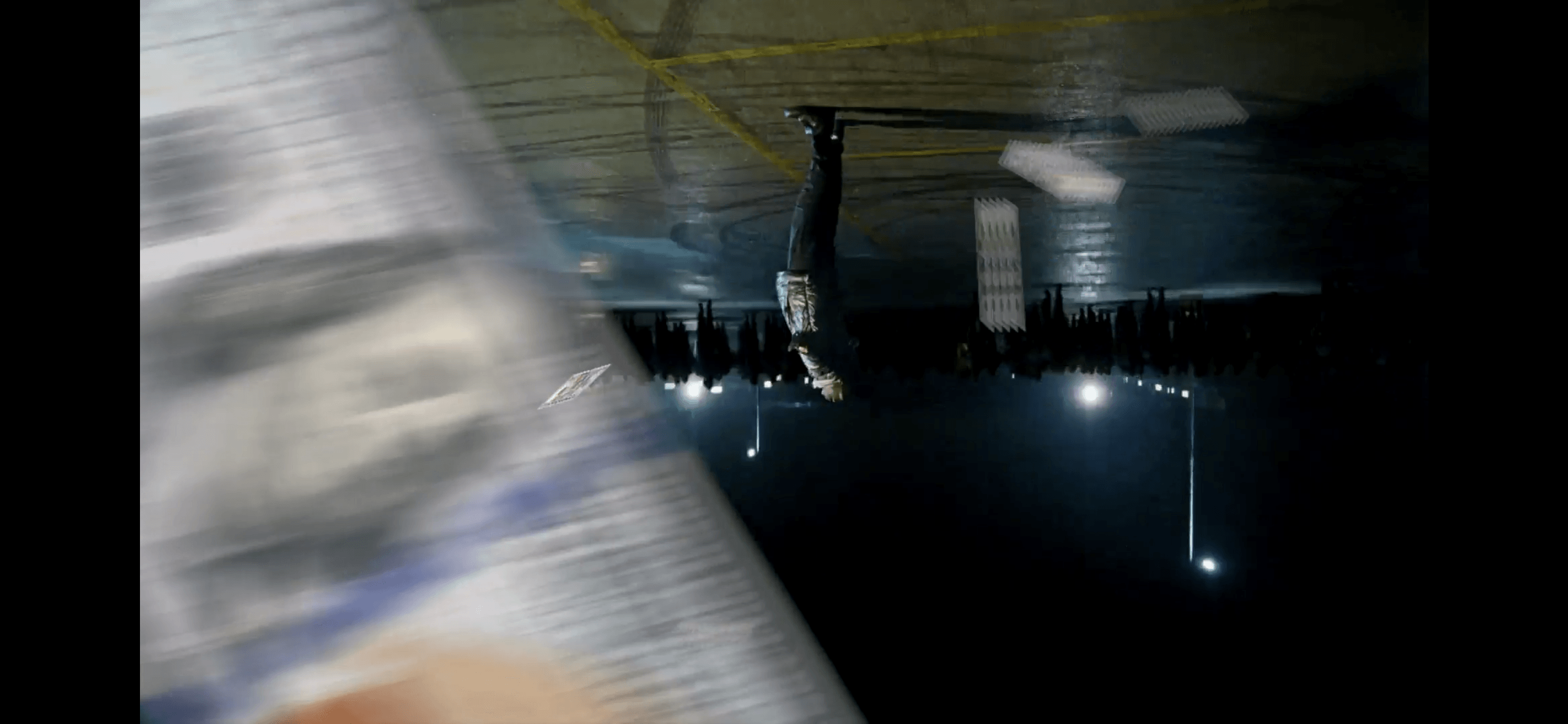 MONEY - moonbear.shop