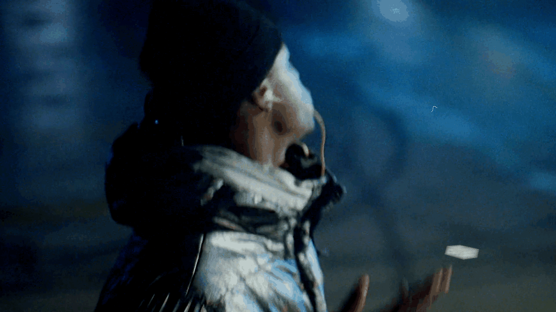 MONEY - moonbear.shop